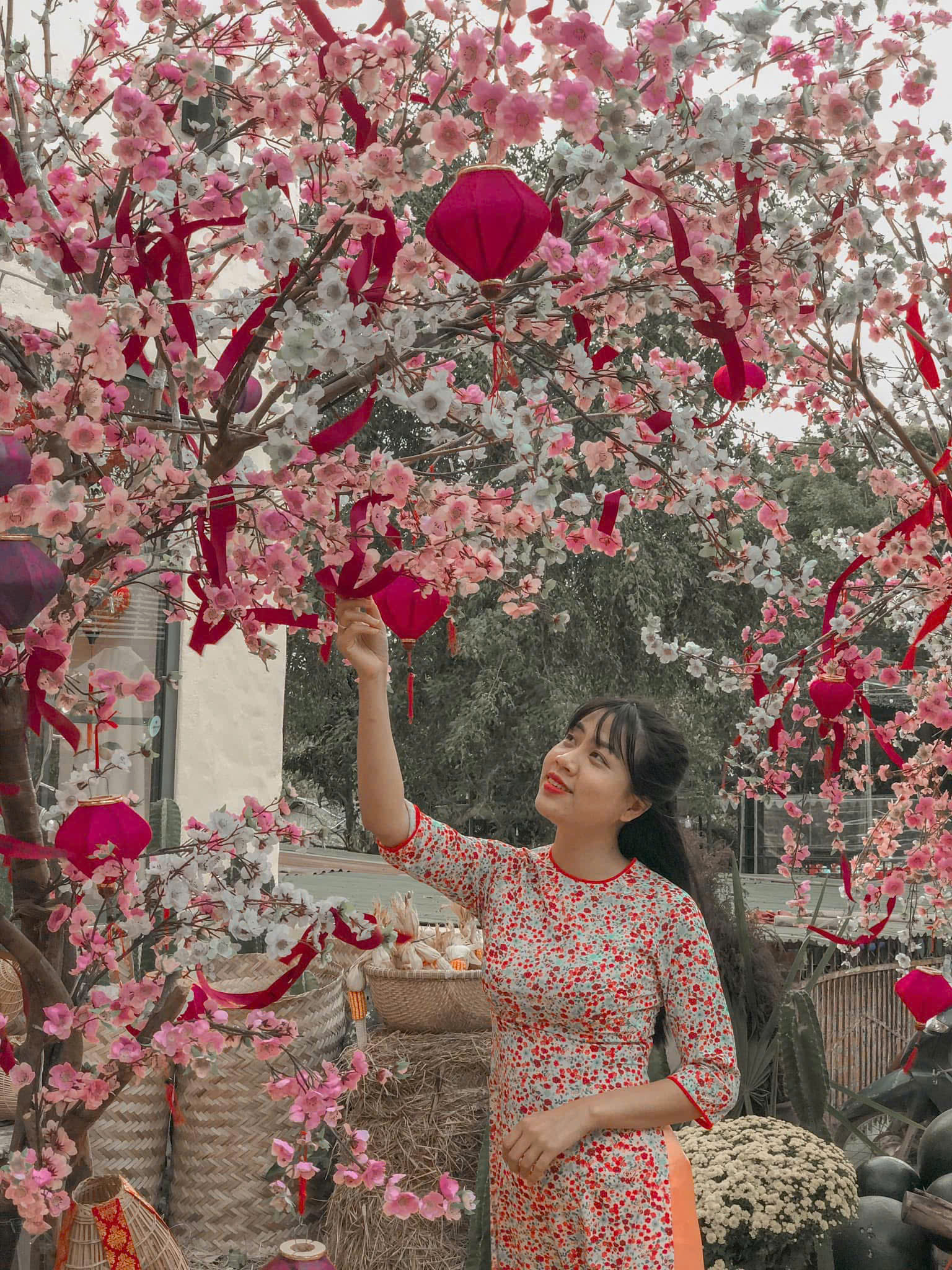 Cô Ngô Thị Nhung - GV Tiếng Anh